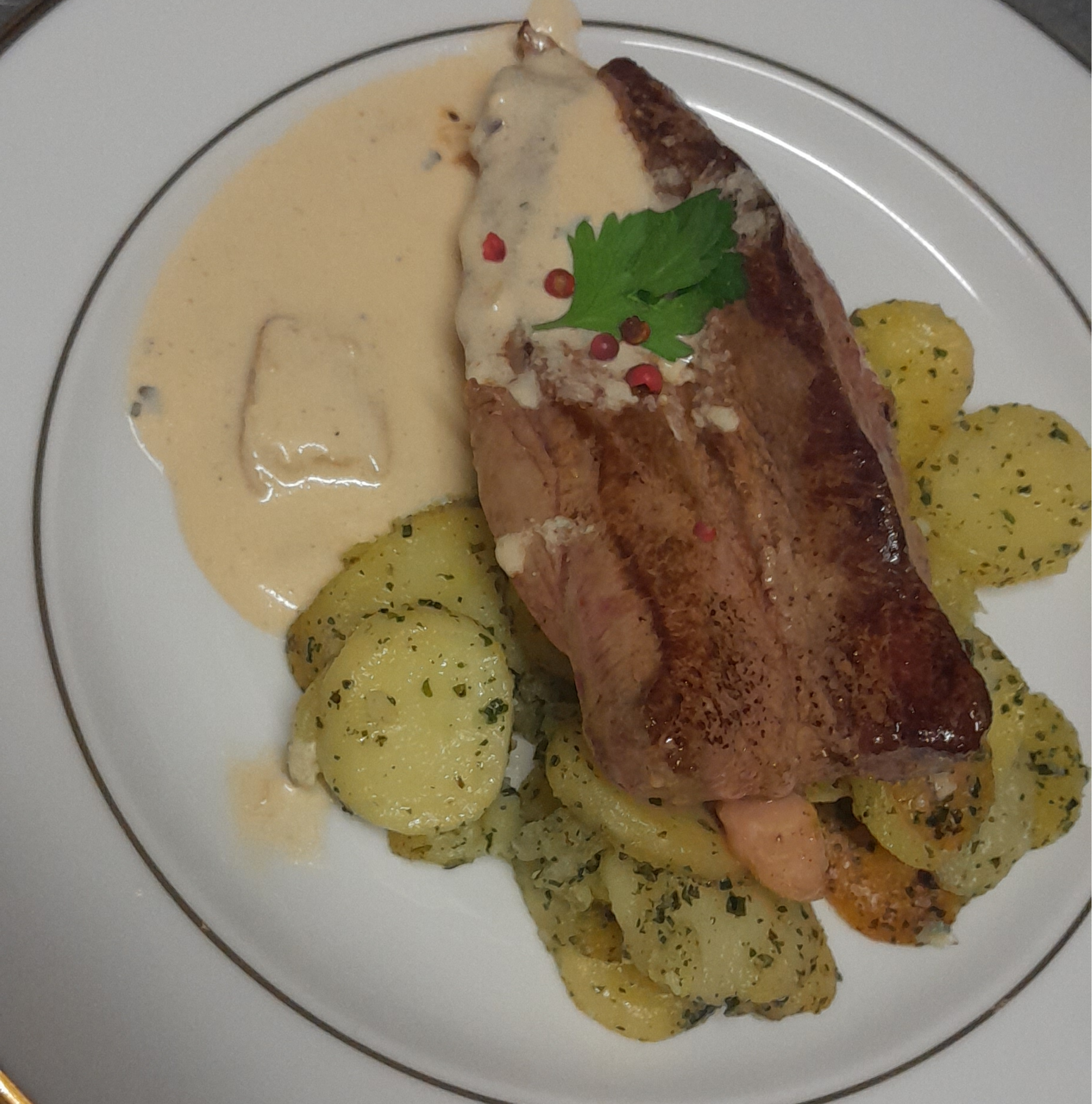 20230725_135331-1-scaled (1)